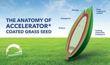 Superior seed for a superior lawn - Johnsons’ Quick Lawn with Accelerator® is the best lawn seed formula yet